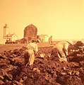 Fouille encours sur l'île aux Moutons en 1927.