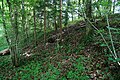 The spoil heap, north side.