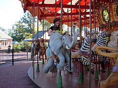 Carousel at the zoo