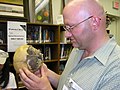 Benjamin Radford examines a replica of the "Starchild Skull," claimed to be an alien/human hybrid, at the Roswell UFO festival