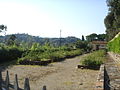 Il giardino murato del Conte