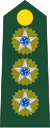 Colonel