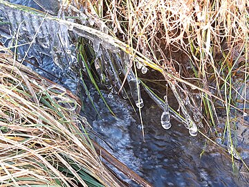 icicles at creek