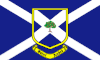 Flag of St. Andrew