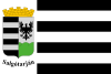 Flag of Salgótarján