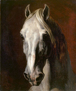 Tête de cheval blanc (1815), Paris, musée du Louvre.