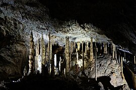 Intérieur de la grotte de Han (Rochefort).