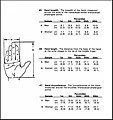 Static adult human physical characteristics of the hand