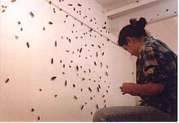 The Nymph and the Adult, Installation, 2001, Artspace, Sydney, Australia