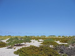 Flora, Fauna and landscapes from The Thirteen Islands of St. Brandon