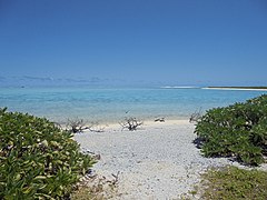 Flora, Fauna and landscapes from The Thirteen Islands of St. Brandon