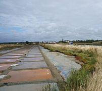 Les marais salants.