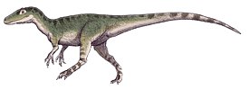 Рекострукция Magnosaurus nethercombensis