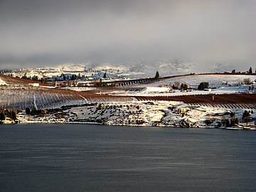 View of Manson orchards from the south shore of Lake Chelan