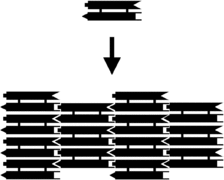 Self-assembly of a 2D DX array