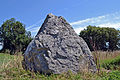 Menhir de la Crulière