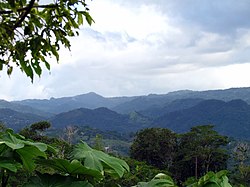 Mountain view from PR-129 in Piletas, Lares