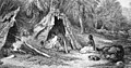 Image 26Indigenous Australian camp by Skinner Prout, 1876 (from History of agriculture)