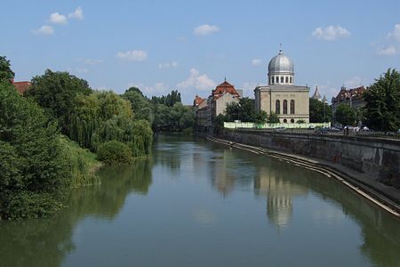 The Crișul Repede river