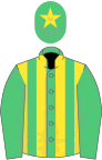 EMERALD GREEN and YELLOW STRIPES, emerald green sleeves, yellow star on cap