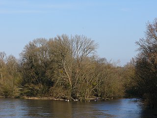 La pointe de Courpain, au confluent du Loiret (à droite), résurgence qui a donné son nom au département, et de la Loire (à gauche), à Saint-Pryvé-Saint-Mesmin.