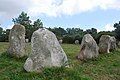 Vue partielle du cromlech rectangulaire de Crucuno.