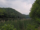 Standing Stone Lake's east shore, near Overton Lodge