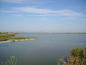 Vue depuis le pont de Carnon vers l'ouest. À gauche, le canal du Rhône à Sète.