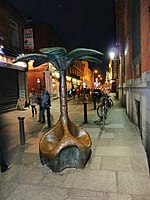 Temple Bar palm tree