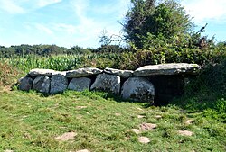 Image illustrative de l’article Dolmen et allée couverte de Kergüntuil