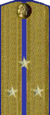 погоны ГБ 1943