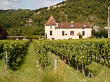 Cahors chateau and vineyard