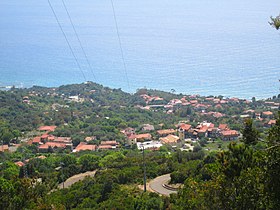 Caprioli (Pisciotta)