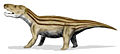 Cynognathus was a carnivorous mammal-like cynodont from the Early Triassic.