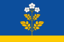 Flag of Falyonsky District