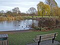 An English village pond