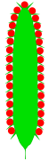 Esquema de una espiga cilíndrica