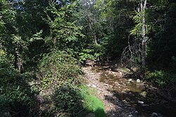 Along a creek at New Hamburg