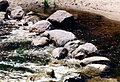 Rocks in Middle River at Old Mill State Park