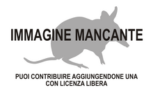 Immagine di Microperoryctes aplini mancante