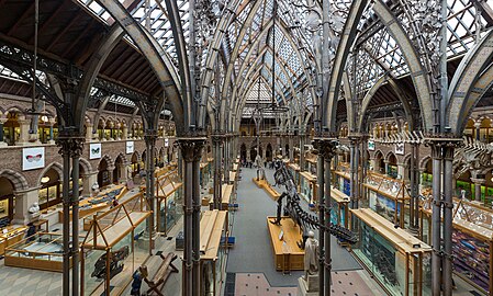 The interior of the Natural History Museum from the gallery level