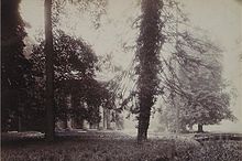 Photographie de 1923 montrant le temple envahi par la végétation.