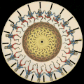 A circular disk with multiple slightly alternating images of a creature dancing which when you swirl the disk appears to be moving.