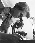 14. Rosalind Franklin (1920–58), avslöjade strukturen i DNA