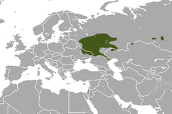 Distribución del desmán almizclado