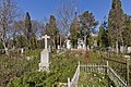 Old city cemetery.