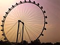 Una foto della Singapore Flyer presa dall'East Coast Parkway.