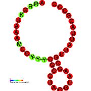 TLS-PK6: Secondary structure taken from the Rfam database. Family RF01101. Derived from Pseudobase PKB00130