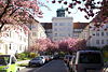 Blick nach Süden auf den Atelierturm mit Torbogen