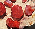 Vanadinite Pb5(VO4)3Cl